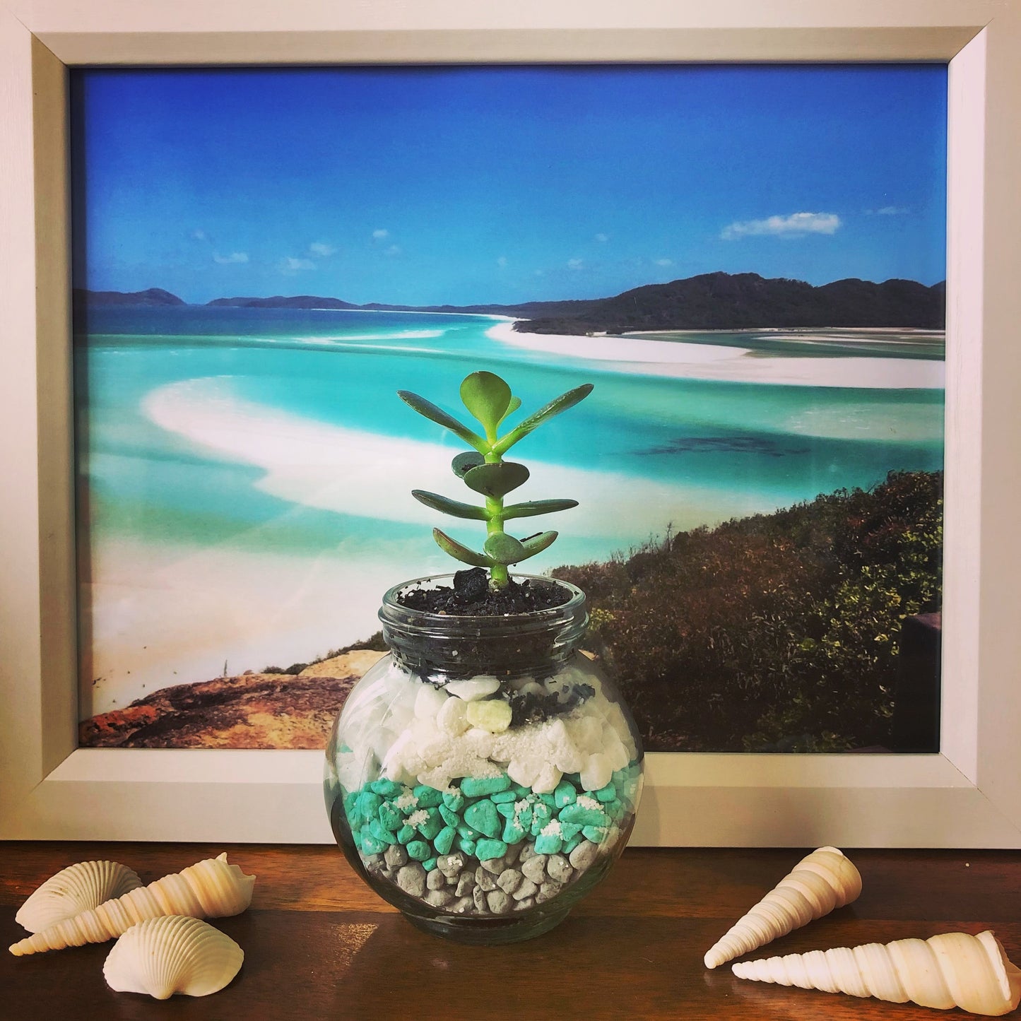 Custom Designs - Coastal Mason Jars