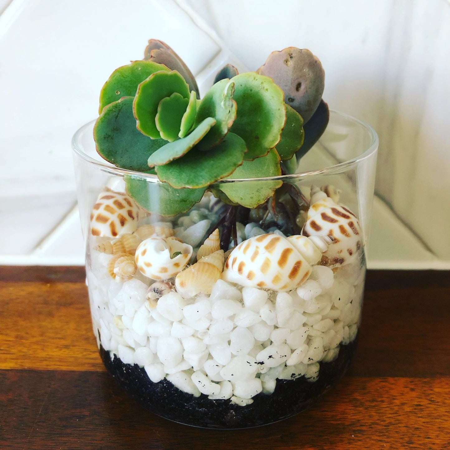 Custom Designs - Coastal Mason Jars