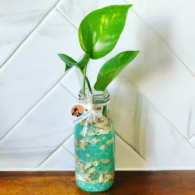 Custom Designs - Coastal Mason Jars