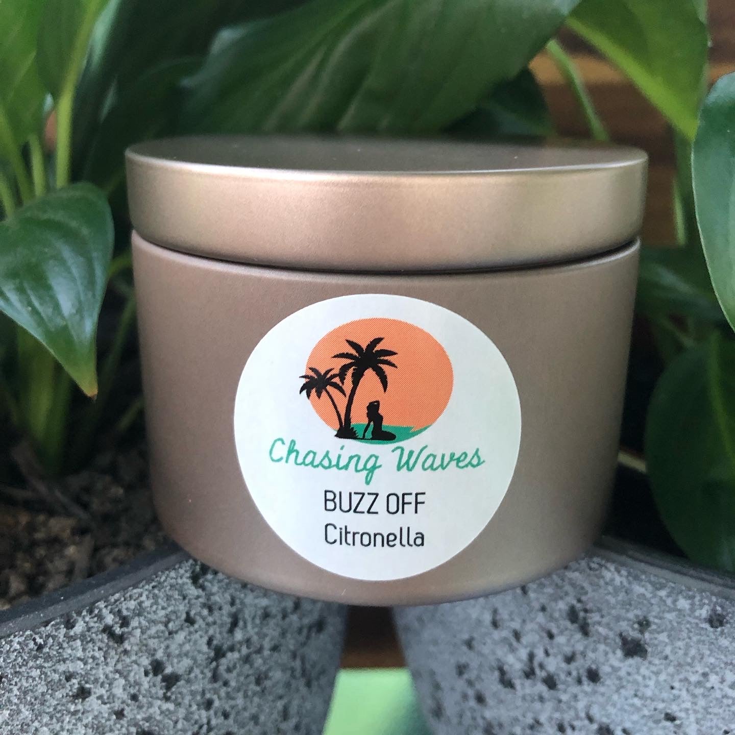 BUZZ OFF 🪰 Citronella